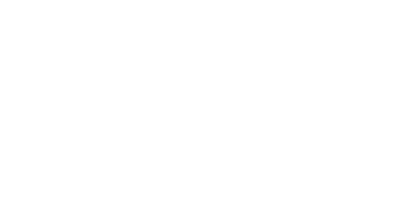 Wellness Risk Management Inc